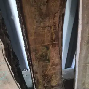 янове от орех